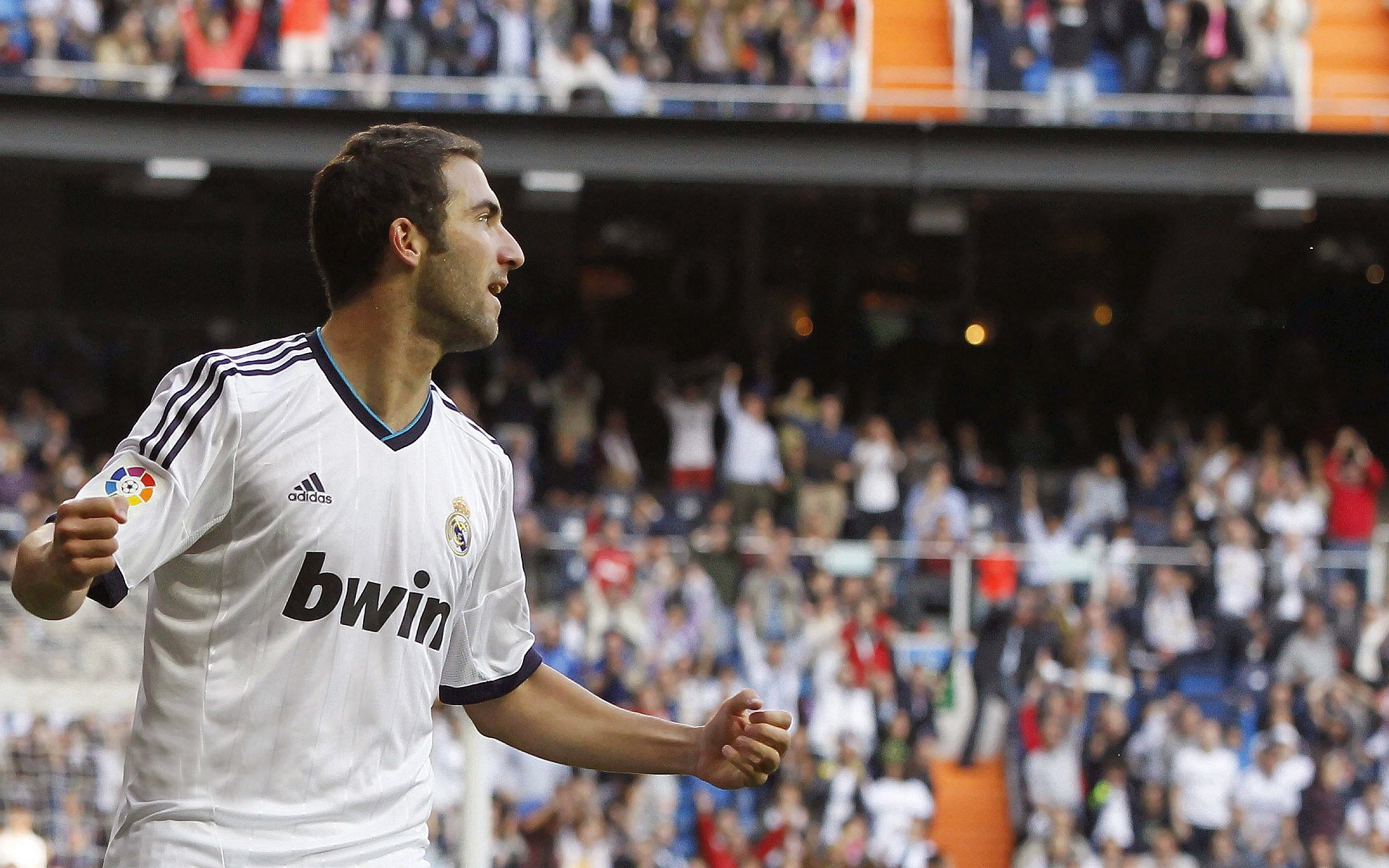 南非羚羊队的核心战术：不断打破对方防线，保持高压态势，南非羚羊皮可以干嘛用