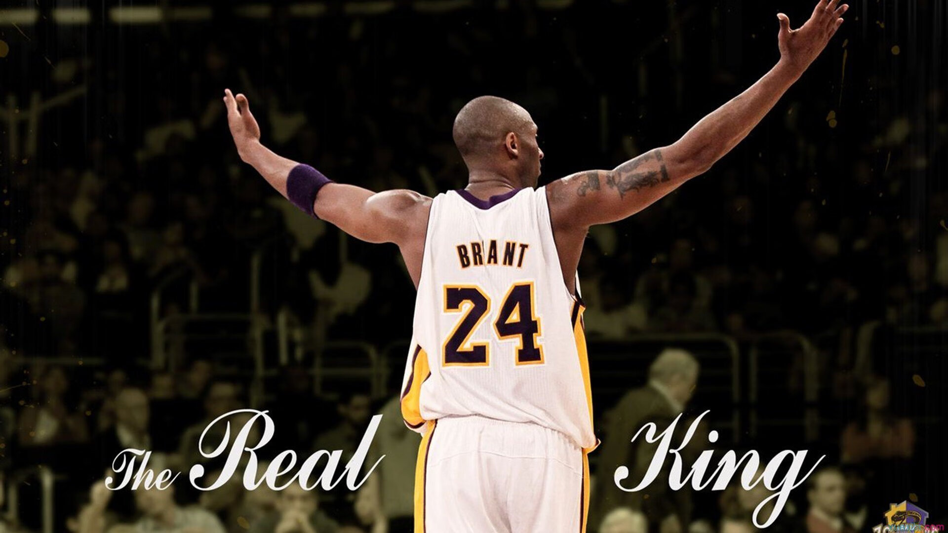 斯图加特双前锋制造连续冲击机会，斯图加特21